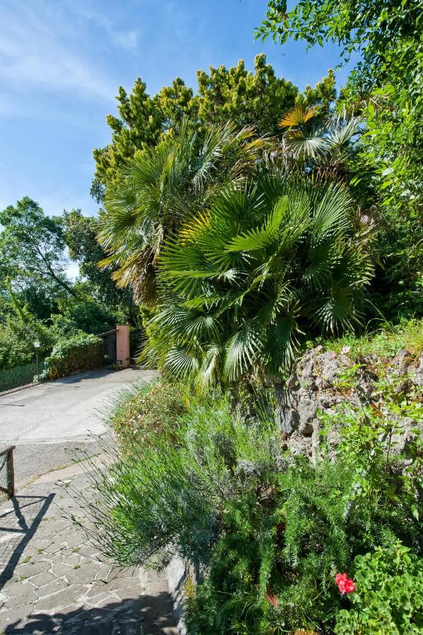 Villalbert Castel Gandolfo Exterior foto